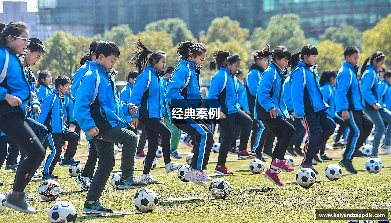 经典案例
